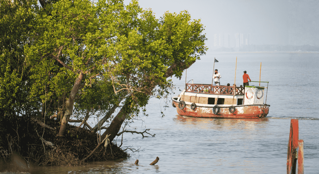 Sundarbans Tour Packages: Safari, Accommodation, Cost & Booking Guide