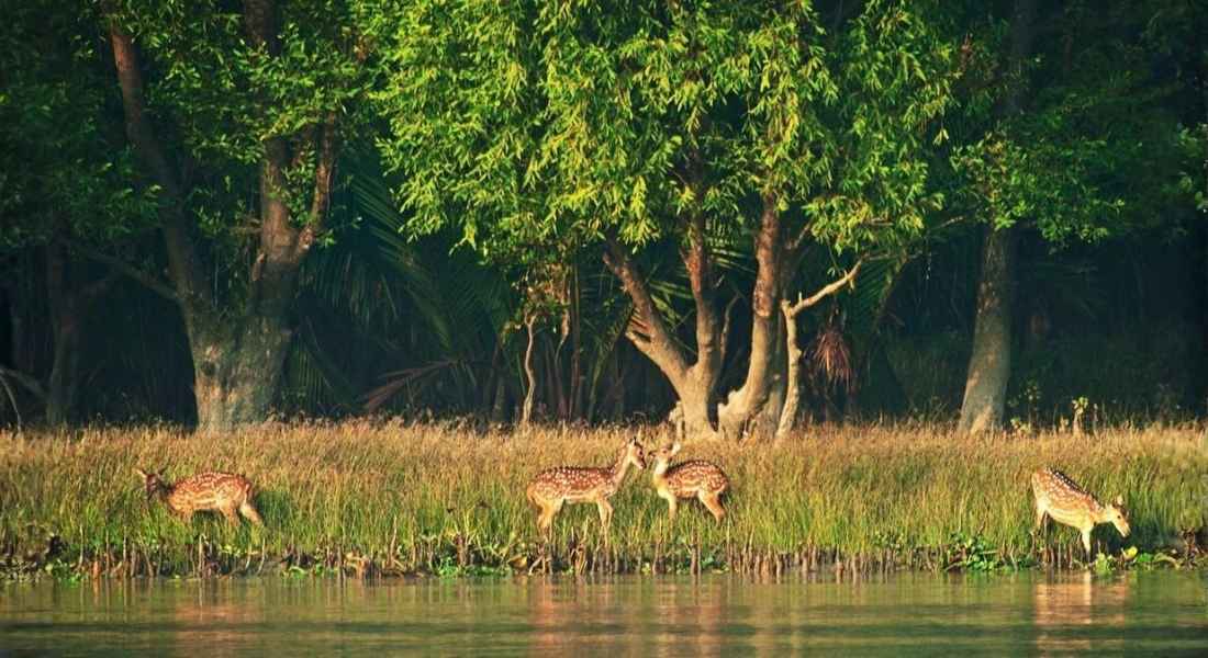 Winter travel Bangladesh