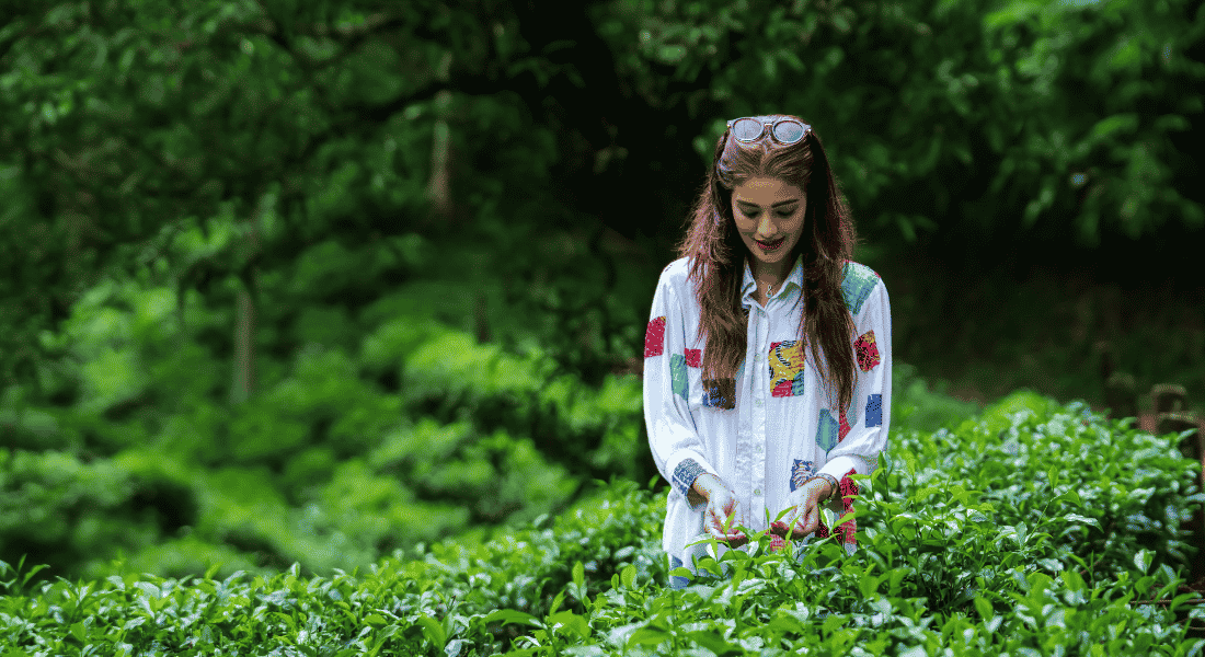 Sylhet Tea Garden Tour