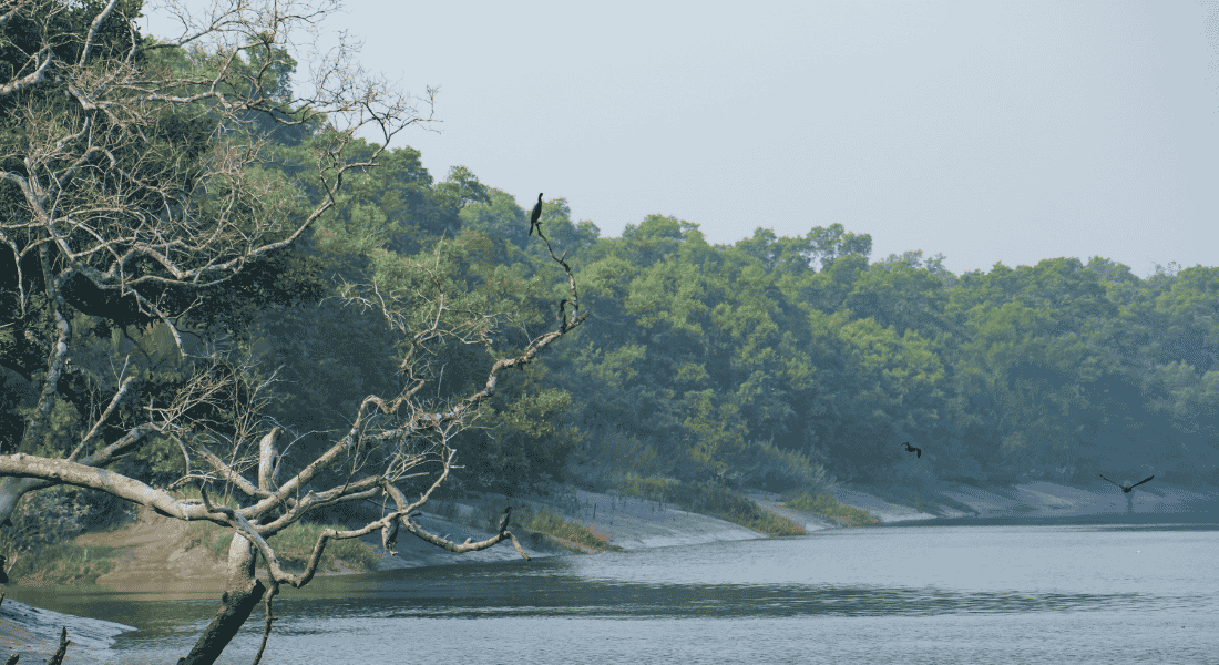 The Best Time to Visit Sundarban