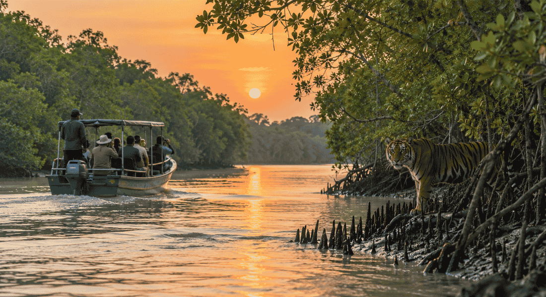 The Ultimate Sundarban Travel Package Guide