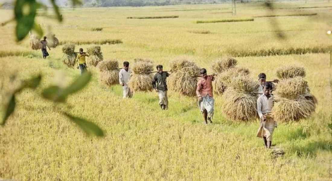 Nobanno celebration Bangladesh