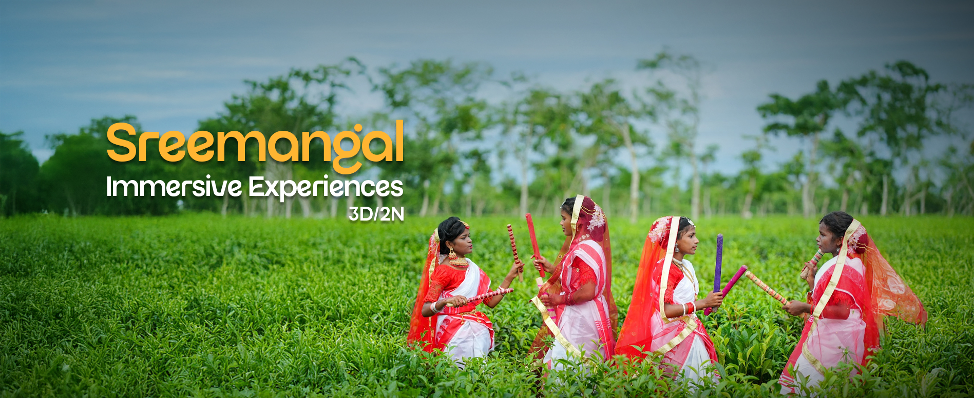 Winter Escape - Sreemangal