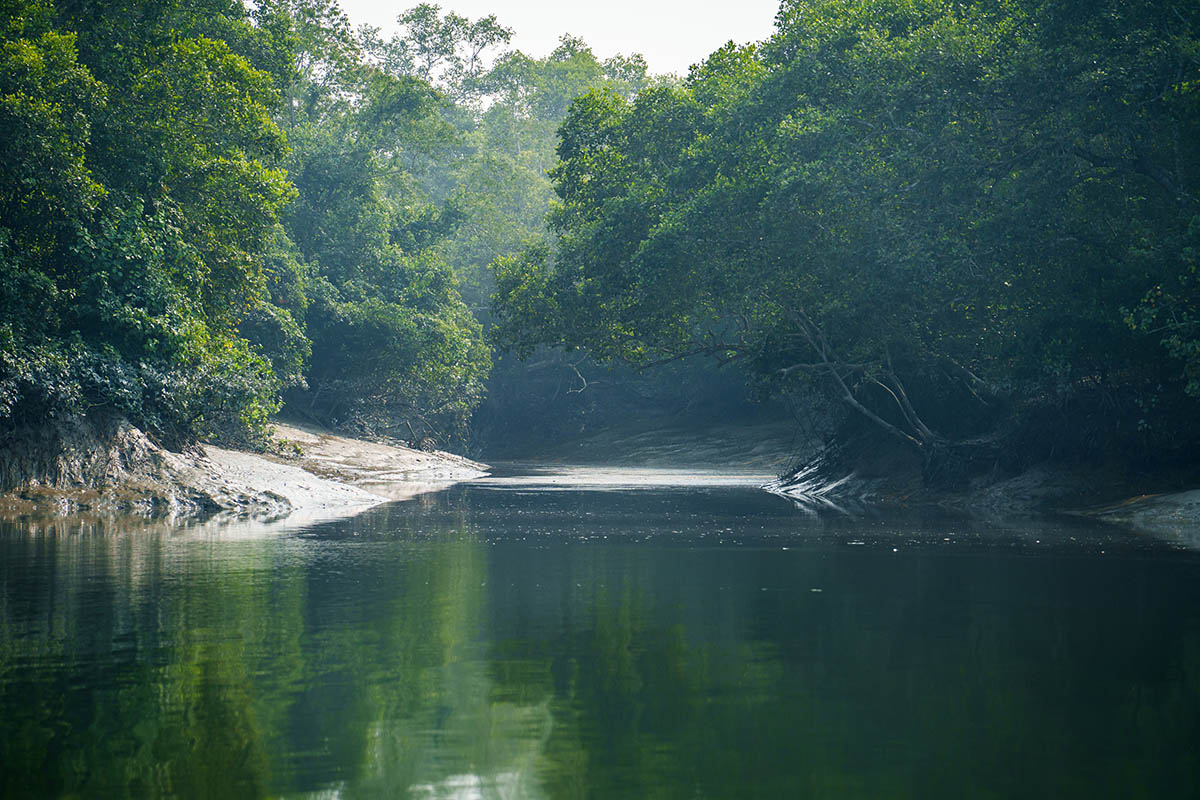 Sundarbans