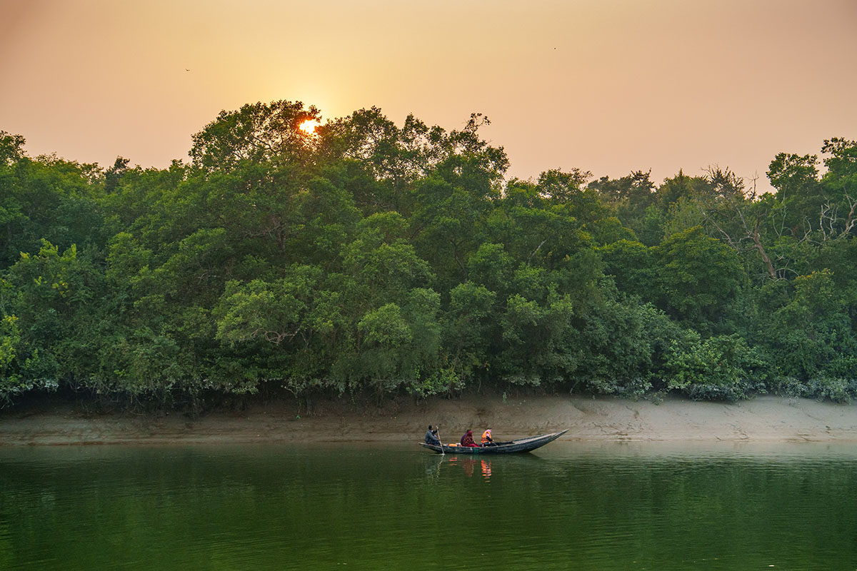 Sundarbans