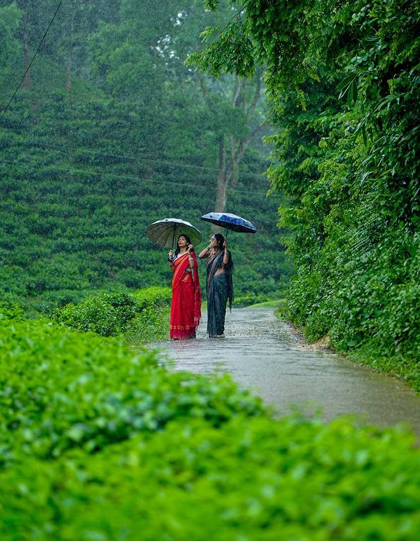 Sreemangal in Monsoon