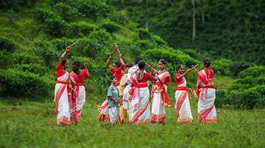 Sylhet Cultural Immersion