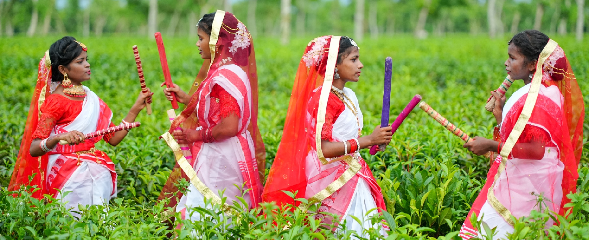 Sreemangal Immersive Experiences